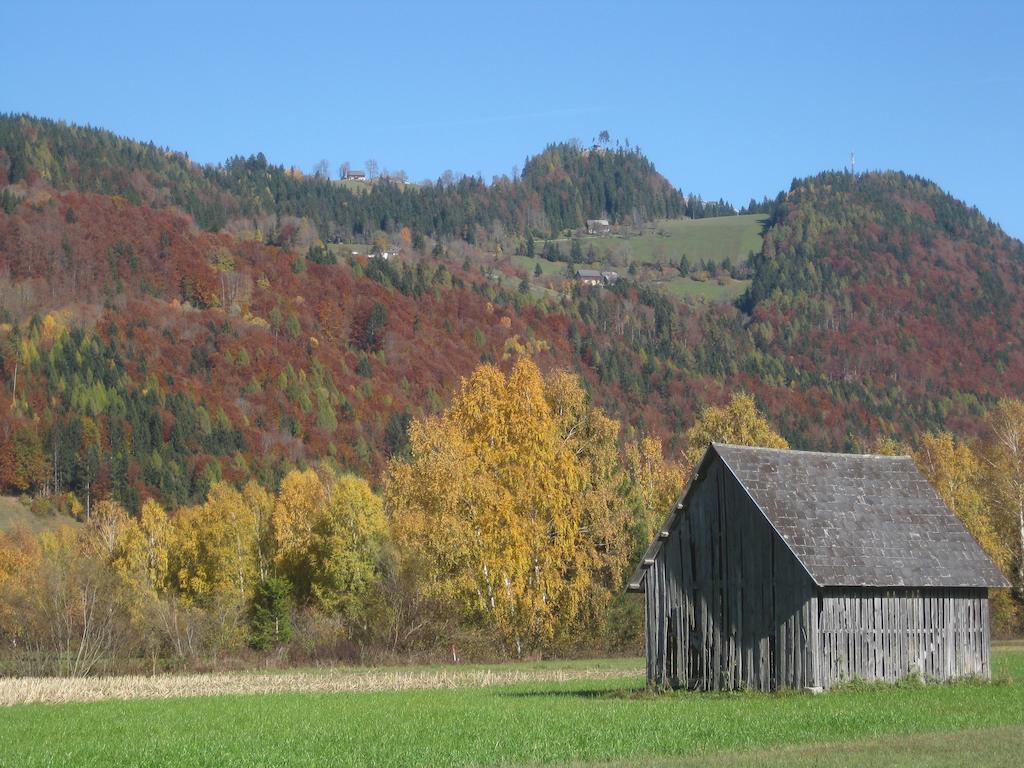 Haus Moser Worschach Екстер'єр фото